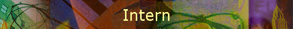 Intern