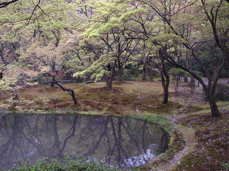 niwa