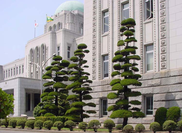 wakayama2