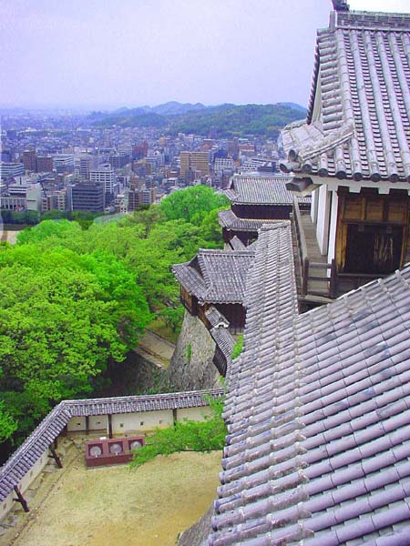 wakayama3
