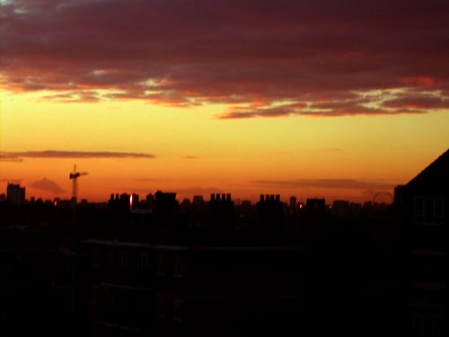 The Kitchen Window