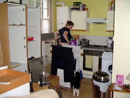 The Kitchen