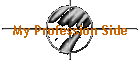 My Profession Side