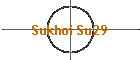 Sukhoi Su29