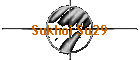 Sukhoi Su29