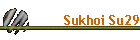 Sukhoi Su29