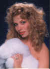 Furry Holly.JPG (106673 bytes)