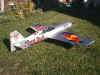 redbull.jpg (47959 bytes)