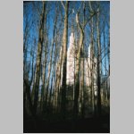 peterblaise-2004021427-10-768x.jpg