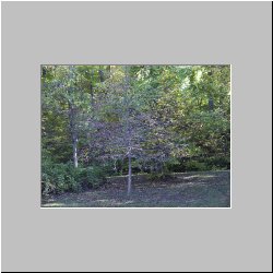 peterblaise20051103-09-700x.jpg