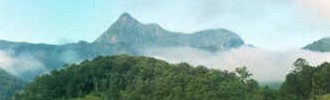 Wollumbin - "Cloud Catcher"