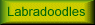 About the Labradoodle Breed