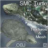 Freebie turtle model, as seen in SMC