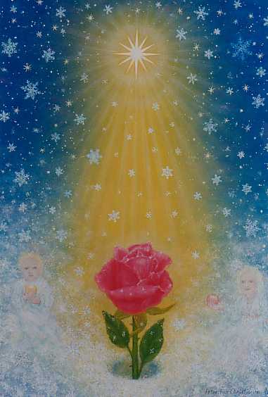 Snow & rose