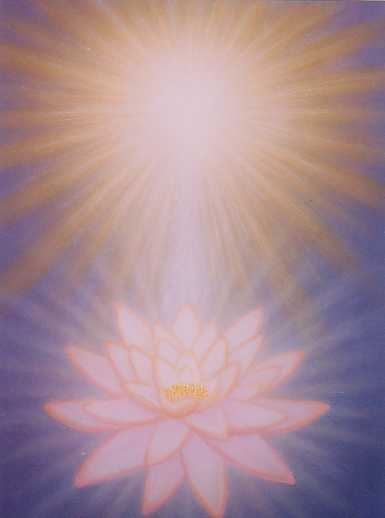 Lotus Lily Deva