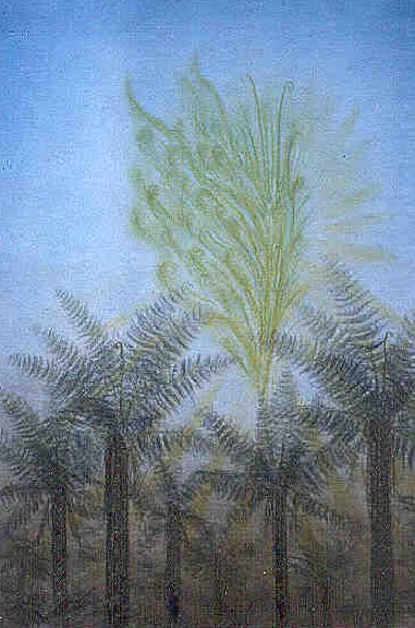 Tree fern deva