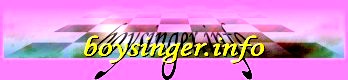 Image of boy_singer_banner.jpg