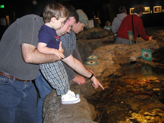 aquarium1.jpg