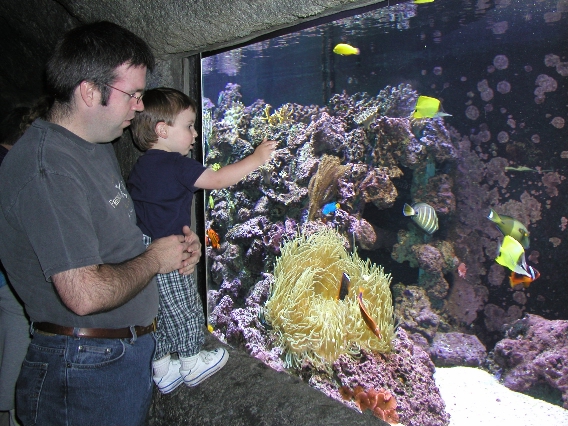 aquarium2.jpg