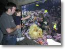 aquarium2.jpg