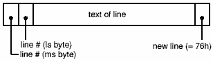 Format of program lines