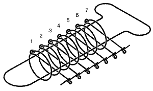Drawing of Chinese Ring Puzzle