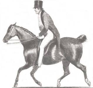 Robert Peel