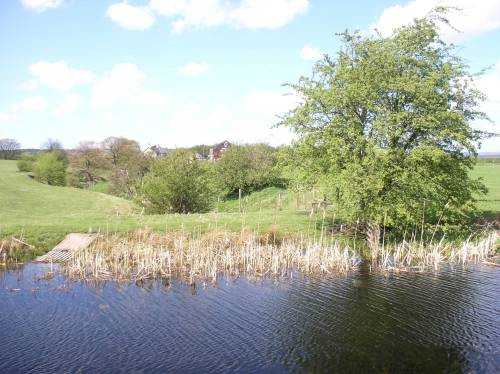 Withins reservoir outlet passing under canal