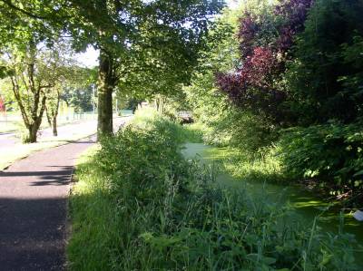 Canal feeder along Woodhill Road