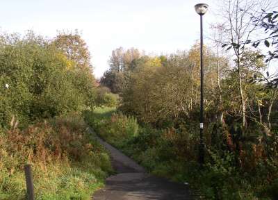 Overgrown canal feeder between Brandlesholme and Tottington Roads