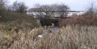 Canal feeder flowing into canal