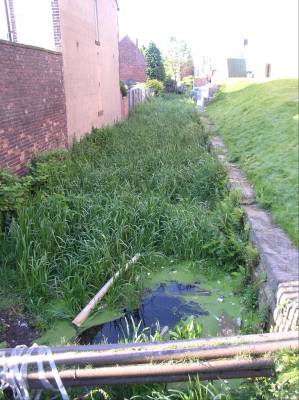 Canal feeder near Merton Street