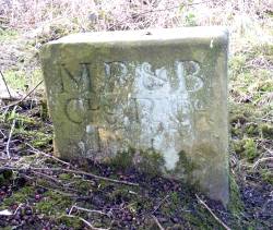 Canal and Railway Company marker stone