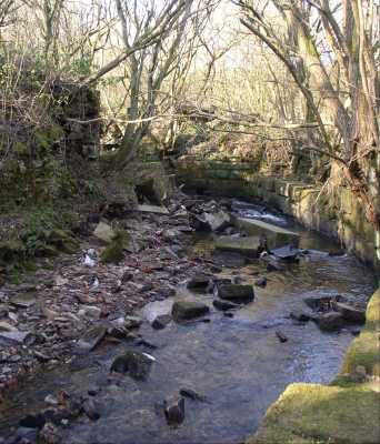 Kirklees Brook