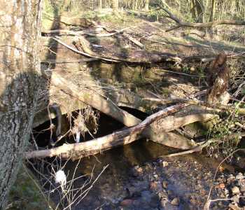 Kirklees Brook entering tunnel
