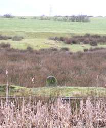11&frac14; milestone opposite Bealey's wharf