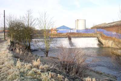 Bealey's Weir