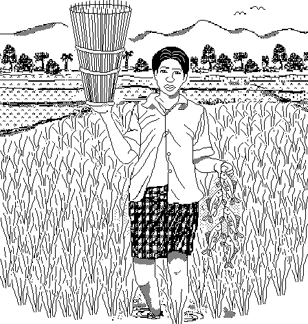 Drawing Fish Culture