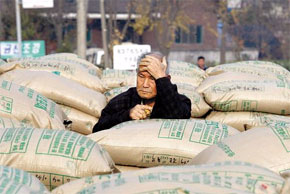 Rice Market