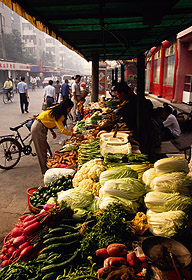 vegetable market