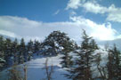 On the hill