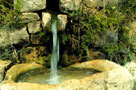 019