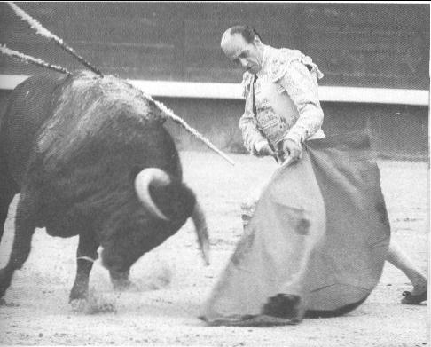 Inicio de faena, sometiendo al toro por bajo.