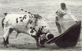 Un natural cargando la suerte a Atrevido.