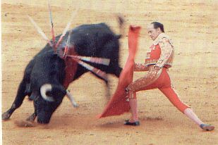 Un pase para ahormar y tentar al toro, todo un tratado de tauromaqu�a.