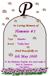 Tomb1.gif (13475 bytes)