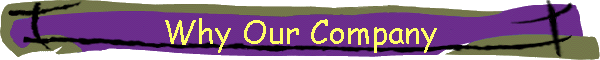 Why Our Company