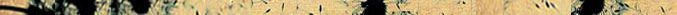 RevivalBar2.jpg (5334 bytes)