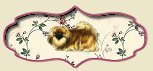 Pekes