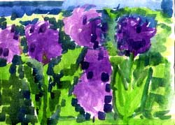 Purple Flowers, by Antonache George